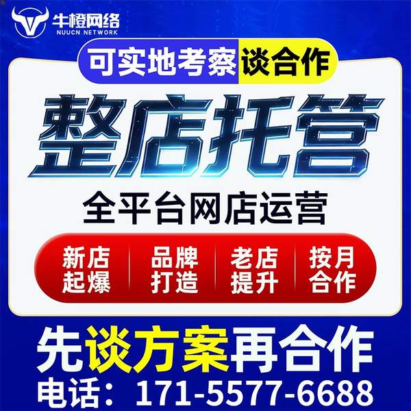 铜仁电商代运营
