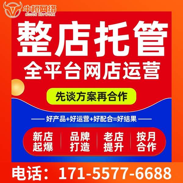 铜仁电商代运营