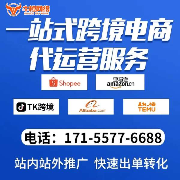 铜仁电商代运营