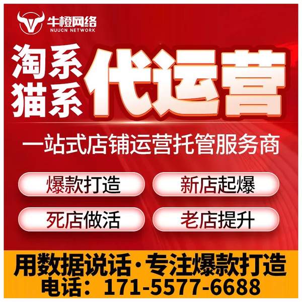 铜仁电商代运营